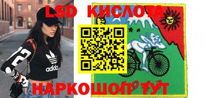 PSILOCYBIN Кулебаки